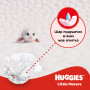 Підгузки Huggies Little Movers 3 (4-9 кг) M-pack, 168 шт (5029053577852) Підгузки Huggies Little Movers 3 (4-9 кг) M-pack, 168 шт (5029053577852)