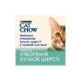 Вологий корм для кішок Purina Cat Chow Hairball з куркою та зеленою квасолею в желе 85г (7613037031393) Вологий корм для кішок Purina Cat Chow Hairball з куркою та зеленою квасолею в желе 85г (7613037031393)