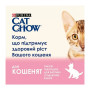 Вологий корм для кішок Purina Cat Chow З Ягням та Цукіні в желе 85 г (8445290426536) Вологий корм для кішок Purina Cat Chow З Ягням та Цукіні в желе 85 г (8445290426536)