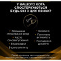 Вологий корм для кішок Purina Pro Plan Veterinary Diets NF Renal Function Early Care З куркою 10 x 85 г (7613287873934) Вологий корм для кішок Purina Pro Plan Veterinary Diets NF Renal Function Early Care З куркою 10 x 85 г (7613287873934)