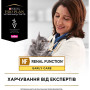 Вологий корм для кішок Purina Pro Plan Veterinary Diets NF Renal Function Early Care З куркою 10 x 85 г (7613287873934) Вологий корм для кішок Purina Pro Plan Veterinary Diets NF Renal Function Early Care З куркою 10 x 85 г (7613287873934)