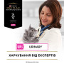 Вологий корм для кішок Purina Pro Plan Veterinary Diets UR ST/OX Urinary З куркою 10 x 85 г (8445290093592) Вологий корм для кішок Purina Pro Plan Veterinary Diets UR ST/OX Urinary З куркою 10 x 85 г (8445290093592)