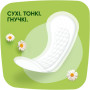 Щоденні прокладки Naturella Camomile Normal 74 шт. (8006540100806) Щоденні прокладки Naturella Camomile Normal 74 шт. (8006540100806)