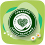 Щоденні прокладки Naturella Camomile Normal 74 шт. (8006540100806) Щоденні прокладки Naturella Camomile Normal 74 шт. (8006540100806)