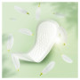 Щоденні прокладки Naturella Camomile Normal 44 шт. (8006540100769) Щоденні прокладки Naturella Camomile Normal 44 шт. (8006540100769)