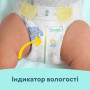 Підгузки Pampers Premium Care Maxi Розмір 4 (9-14 кг) 34 шт (8001090379368) Підгузки Pampers Premium Care Maxi Розмір 4 (9-14 кг) 34 шт (8001090379368)