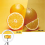 Набір блогера Puluz Ring LED lamp 12" (PU411EU) Набір блогера Puluz Ring LED lamp 12" (PU411EU)