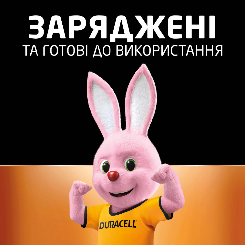 Акумулятор Duracell AA HR6 1300mAh * 2 (5000394039186 / 81367175)