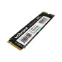 Накопичувач SSD M.2 2280 256GB Caiman Wibrand (WIM.2SSD/CA256GB) Накопичувач SSD M.2 2280 256GB Caiman Wibrand (WIM.2SSD/CA256GB)
