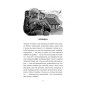 Книга Кельтські сутінки - Вільям Батлер Єйтс Астролябія (9786176642589) Книга Кельтські сутінки - Вільям Батлер Єйтс Астролябія (9786176642589)