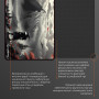Килимок для мишки GamePro Speed/Control Black-Red (MP275RS) Килимок для мишки GamePro Speed/Control Black-Red (MP275RS)
