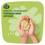 Гігієнічні прокладки Naturella Ultra Maxi (Розмір 3) 32 шт. (8006540399569) Гігієнічні прокладки Naturella Ultra Maxi (Розмір 3) 32 шт. (8006540399569)