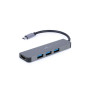 Концентратор Cablexpert USB-C 2-in-1 (A-CM-COMBO2-01) Концентратор Cablexpert USB-C 2-in-1 (A-CM-COMBO2-01)