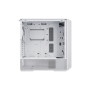 Корпус Lian Li LANCOOL 216 with ARGB fans (G99.LAN216RW.00) Корпус Lian Li LANCOOL 216 with ARGB fans (G99.LAN216RW.00)