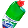 Рідина для чищення ванн Domestos Хвойна Свіжість 1 л (8717163094891) Рідина для чищення ванн Domestos Хвойна Свіжість 1 л (8717163094891)