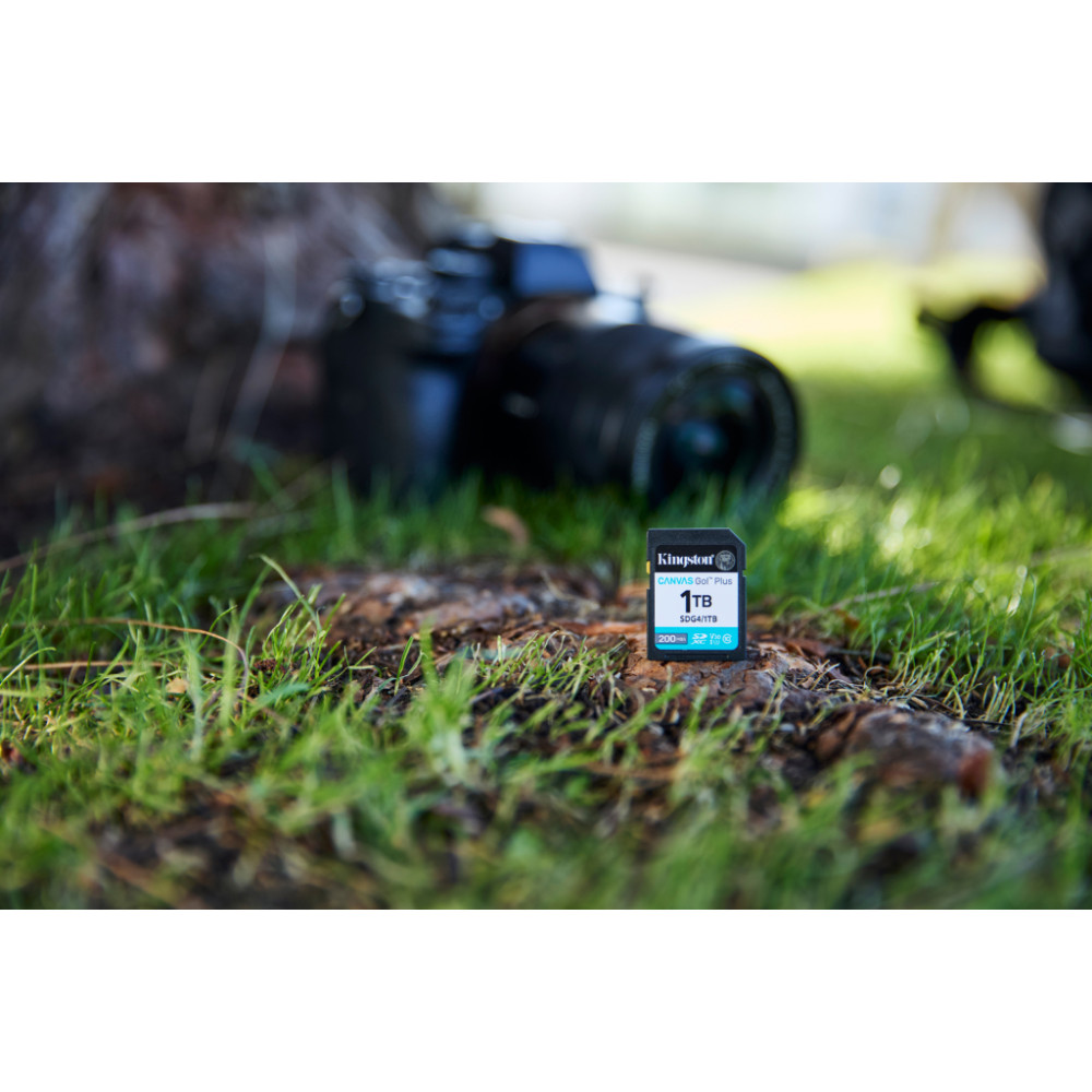 Карта пам'яті Kingston 256GB SDXC сlass 10 UHS-I U3 V30 Canvas Go Plus G4 (SDG4/256GB)