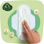 Гігієнічні прокладки Naturella Classic Normal (Розмір 2) 18 шт. (8001090850638) Гігієнічні прокладки Naturella Classic Normal (Розмір 2) 18 шт. (8001090850638)