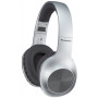 Навушники Panasonic RB-HX220BEE-S Gray (RB-HX220BEE-S) Навушники Panasonic RB-HX220BEE-S Gray (RB-HX220BEE-S)