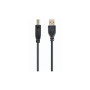 Кабель для принтера USB 2.0 AM/BM 1.8m Cablexpert (CCBP-USB2-AMBM-6) Кабель для принтера USB 2.0 AM/BM 1.8m Cablexpert (CCBP-USB2-AMBM-6)