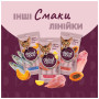 Ласощі для котів Delickcious Тунець з додаванням алое 4 х 15 г (4820269141605) Ласощі для котів Delickcious Тунець з додаванням алое 4 х 15 г (4820269141605)