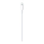 Дата кабель USB-C to Lightning 1.0m Model A2561 Apple (MUQ93ZM/A) Дата кабель USB-C to Lightning 1.0m Model A2561 Apple (MUQ93ZM/A)