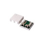 Комп'ютерна розетка RJ45 x2 STP 5e Kingda (KD-WP6037-C5e) Комп'ютерна розетка RJ45 x2 STP 5e Kingda (KD-WP6037-C5e)