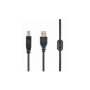 Кабель для принтера USB 2.0 AM/BM 3.0m ferrite Cablexpert (CCFB-USB2-AMBM-3M) Кабель для принтера USB 2.0 AM/BM 3.0m ferrite Cablexpert (CCFB-USB2-AMBM-3M)
