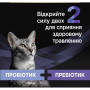 Пробіотична добавка для тварин Purina Pro Plan FortiFlora Plus Для котів і кошенят для підтримки нормальної мікрофлори кишківника 30 x 1.5 г (8445290507495) Пробіотична добавка для тварин Purina Pro Plan FortiFlora Plus Для котів і кошенят для підтримки нормальної мікрофлори кишківника 30 x 1.5 г (8445290507495)
