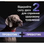 Пробіотична добавка для тварин Purina Pro Plan FortiFlora Plus Для собак та цуценят для підтримки нормальної мікрофлори кишківника 30 x 1.5 г (8445290504937) Пробіотична добавка для тварин Purina Pro Plan FortiFlora Plus Для собак та цуценят для підтримки нормальної мікрофлори кишківника 30 x 1.5 г (8445290504937)