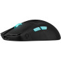 Мишка ASUS ROG Harpe Ace Aim Lab Edition Bluetooth/Wireless Black (90MP02W0-BMUA00) Мишка ASUS ROG Harpe Ace Aim Lab Edition Bluetooth/Wireless Black (90MP02W0-BMUA00)