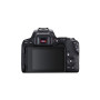 Цифровий фотоапарат Canon EOS 250D kit 18-55 IS STM Black (3454C007)