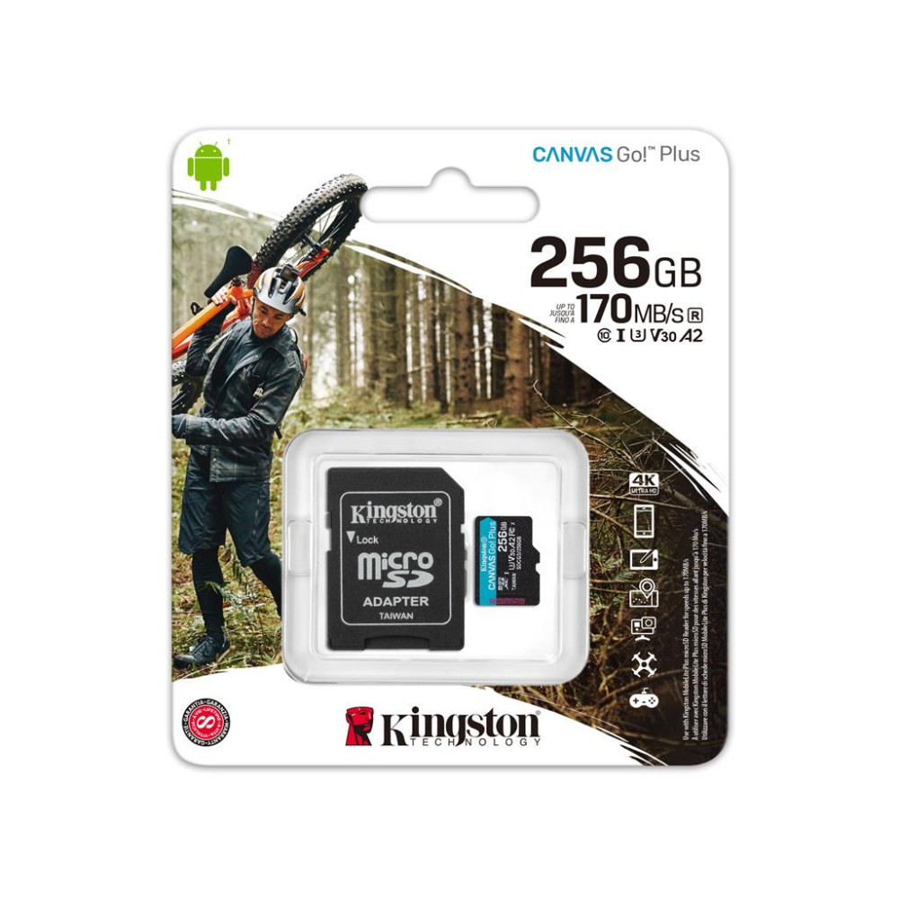 Карта пам'яті Kingston 256GB microSDXC class 10 UHS-I U3 A2 Canvas Go Plus (SDCG3/256GB)