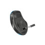 Мишка Defender Prime MB-053 Silent Wireless Turquoise (52054) Мишка Defender Prime MB-053 Silent Wireless Turquoise (52054)