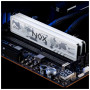Модуль пам'яті для комп'ютера DDR5 32GB (2x16GB) 5600 MHz NOX White Apacer (AH5U32G56C522MWAA-2) Модуль пам'яті для комп'ютера DDR5 32GB (2x16GB) 5600 MHz NOX White Apacer (AH5U32G56C522MWAA-2)
