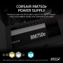 Блок живлення Corsair 750W RM750e (CP-9020295-EU) Блок живлення Corsair 750W RM750e (CP-9020295-EU)
