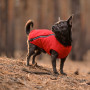Жилет для тварин Pet Fashion "E.Vest" S червоний (4823082424450) Жилет для тварин Pet Fashion "E.Vest" S червоний (4823082424450)
