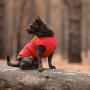 Жилет для тварин Pet Fashion "E.Vest" S червоний (4823082424450) Жилет для тварин Pet Fashion "E.Vest" S червоний (4823082424450)