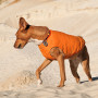 Жилет для тварин Pet Fashion "E.Vest" М помаранчевий (4823082424313) Жилет для тварин Pet Fashion "E.Vest" М помаранчевий (4823082424313)
