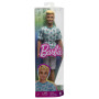 Лялька Barbie Fashionistas Кен у футболці з кактусами (HJT10) Лялька Barbie Fashionistas Кен у футболці з кактусами (HJT10)