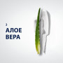 Піна для гоління Gillette Series Для чутливої шкіри з алое вера 200 мл (8001090870926) Піна для гоління Gillette Series Для чутливої шкіри з алое вера 200 мл (8001090870926)
