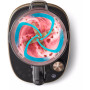 Блендер Philips HR3770/00 Блендер Philips HR3770/00