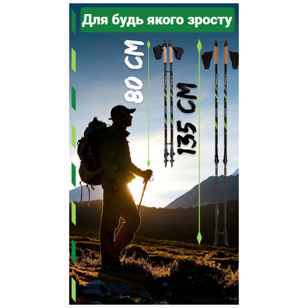 Палиці для скандинавської ходи PowerPlay 9104 Lykke Black/Green 80-135 см (PP_9104_LYKKE)