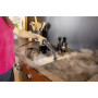 Пароочищувач Karcher SC 4 Deluxe (1.513-460.0) Пароочищувач Karcher SC 4 Deluxe (1.513-460.0)