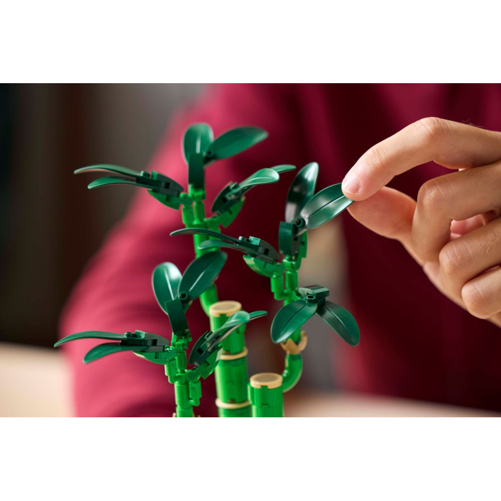 Конструктор LEGO Botanicals Бамбук щастя (10344)