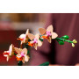 Конструктор LEGO Botanicals Міні орхідея (10343) Конструктор LEGO Botanicals Міні орхідея (10343)